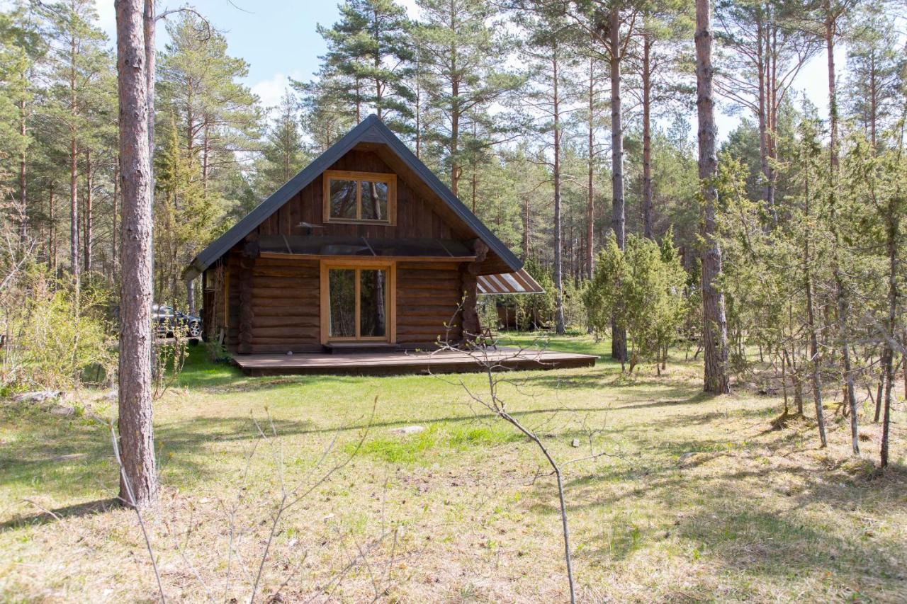 Вилла Pootsmani Maja Paatsalu Экстерьер фото